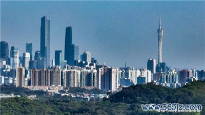深圳罗湖福田高端经纪：覆盖深圳各大区域，服务更贴心